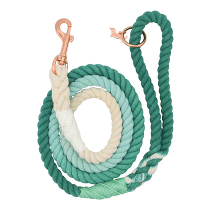 Sassy Woof Rope Leash - Ombre Teal