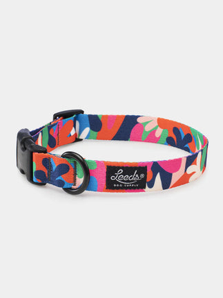 Leeds Dog Collar - Jane