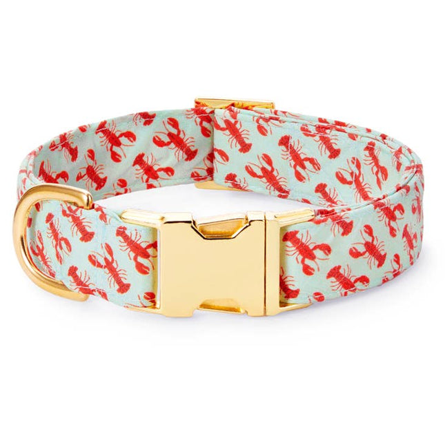 The Foggy Dog Collar - Catch of the Day