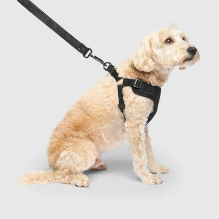 Canada Pooch Easy-On Harness Black