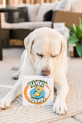 Heavenly Hounds Canine Relaxation Square
