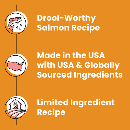 Bixbi Skin and Coat Treats - Salmon Jerky 10oz