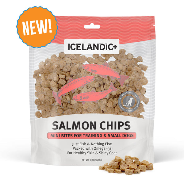 Icelandic Salmon Chips Mini Bites 3oz Decker's Dog + Cat