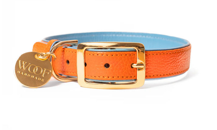 Neighbor Woof Sunset Leather dog collar