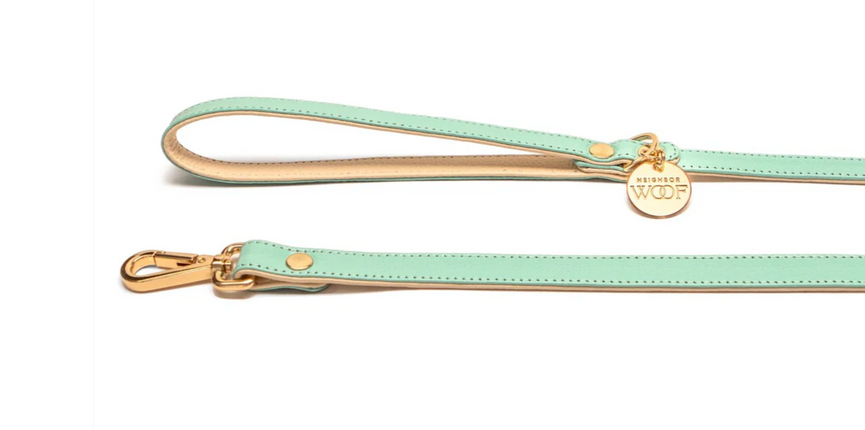 Neighbor Woof Mint Leather Leash