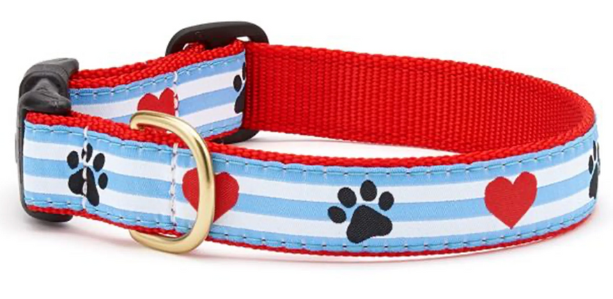 UpCountry PawPrint Stripe Dog Collar