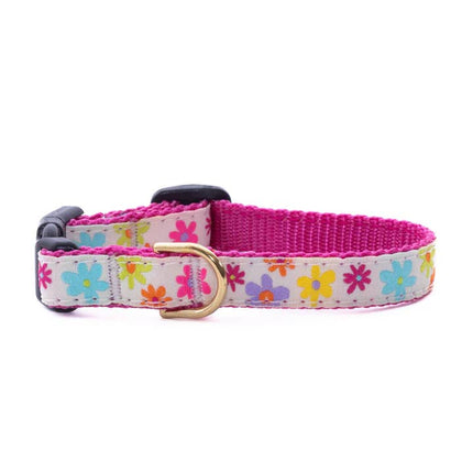 Up Country Small Breed Dog Collar - Spring Fever