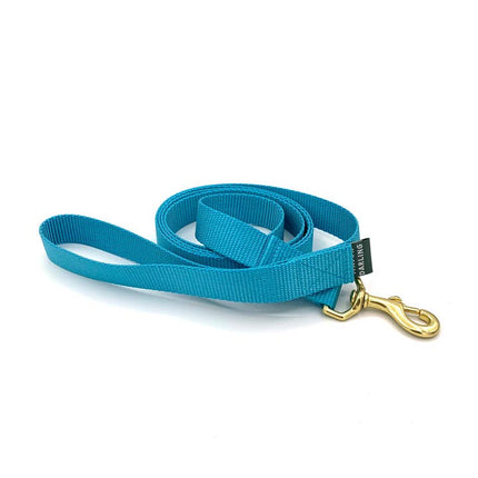 Major Darling Leash  3/4" wide / 5' long - Bluebell