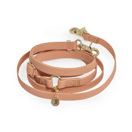 Sunny Tails 4-in-1 Convertible Hands Free Cloud Dog Leash - Chai Brown