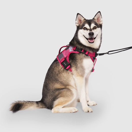 Canada Pooch Complete Control Harness - Pink Plaid