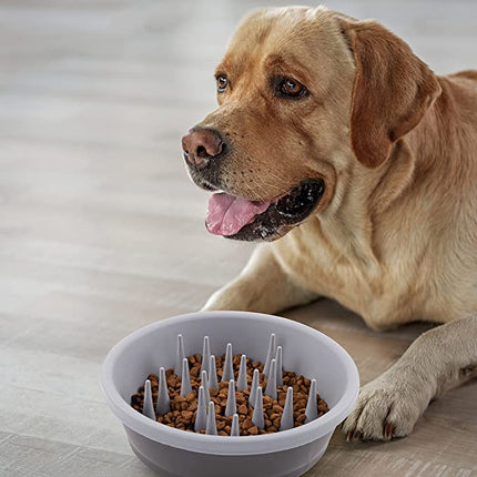 Dexas Slow Feeder Light Gray