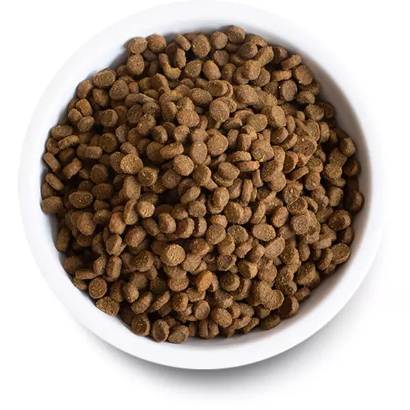 Open Farm Lamb Recipe Cat Dry Food Decker's Dog + Cat