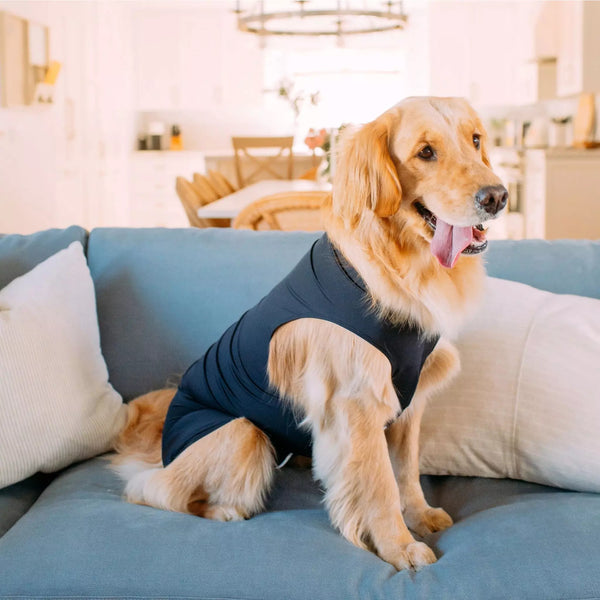 Shed defender best sale petco