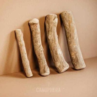 Canophera Natural Coffee Wood Chew Sticks