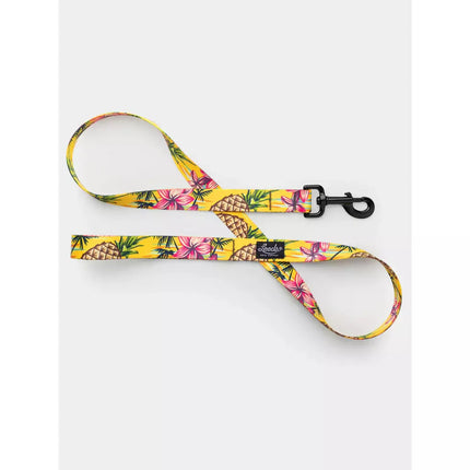 Leeds Dog Leash - Luau