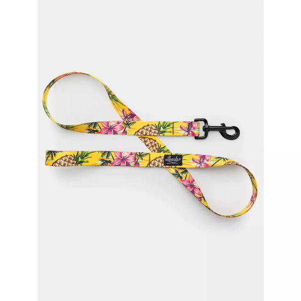 Leeds Dog Leash Luau Decker's Dog + Cat