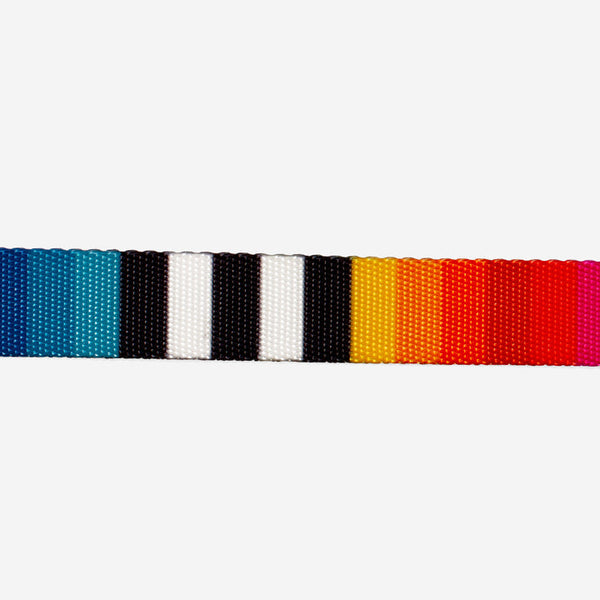 ZeeCat Collar Prisma Decker