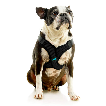 Gooby Comfort X Step-In Lite Harness Black