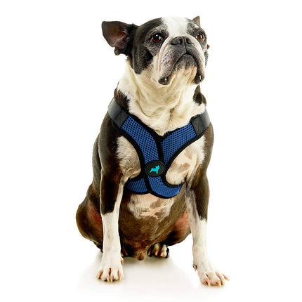 Gooby Comfort X Step-In Harness Blue