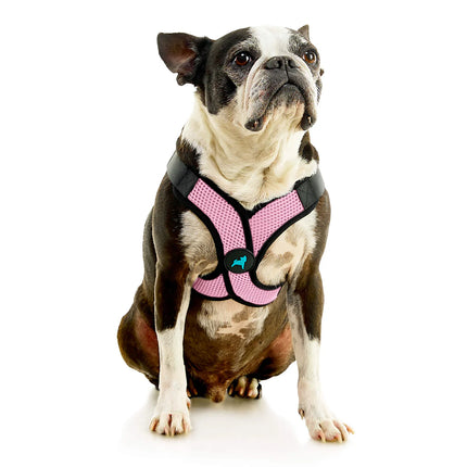 Gooby Comfort X Step-In lite Harness Pink