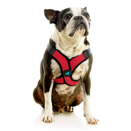 Gooby Comfort X Step-In Lite Harness Red