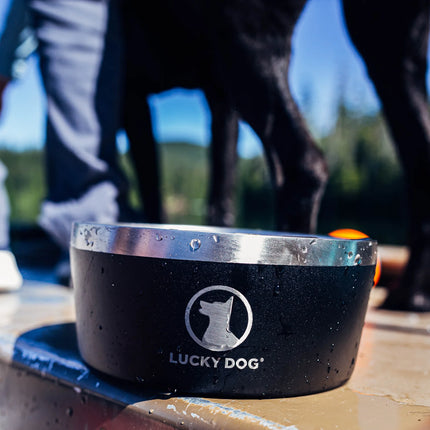 Lucky Dog Indulge Dog Bowl