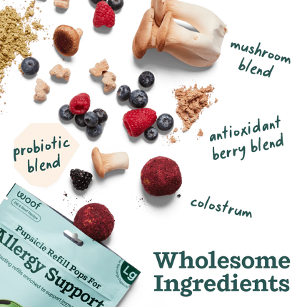 Woof Pupsicle Refill Pops Allergy Support