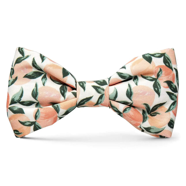 The Foggy Dog - Peaches and Cream Dog Bow Tie
