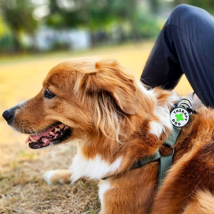 Jiby Dog Crew - Therapy Dog Badge