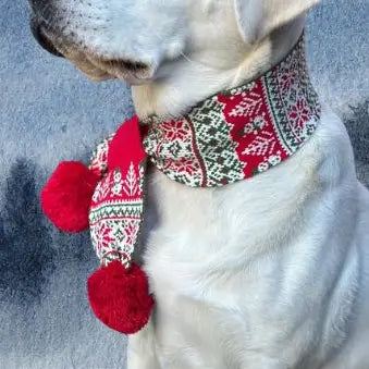Bell Bean Snowflake Scarf