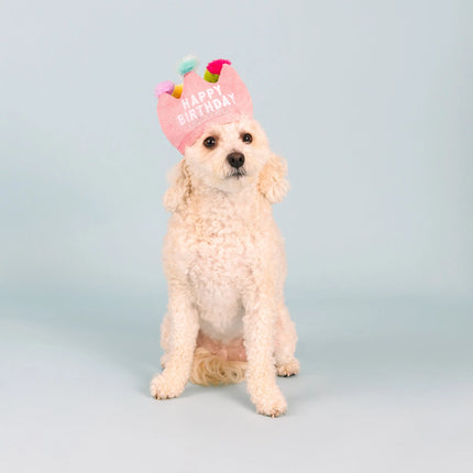PETSHOP IF THE CROWN FITS DOG TOY