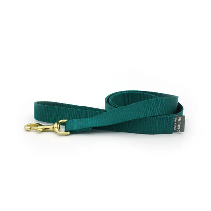 Major Darling Leash  1" wide / 6' long - Teal