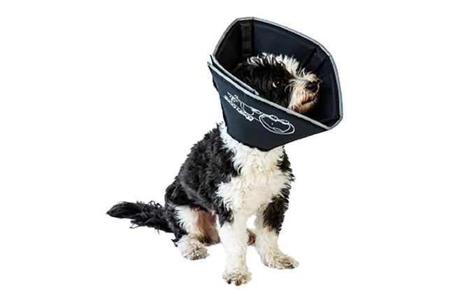 The Comfy Cone Recovery Collar (non returnable item)