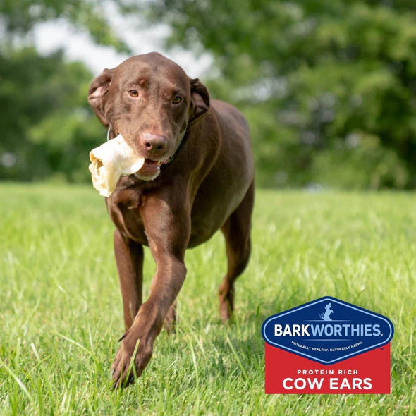 Barkworthies Cow Ear – Decker's Dog Cat - Main Image