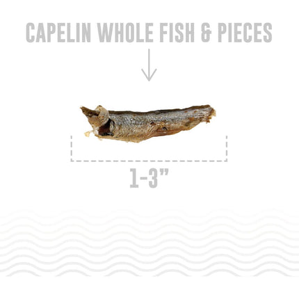 Icelandic Cat Whole Capelin Treat 1.5oz