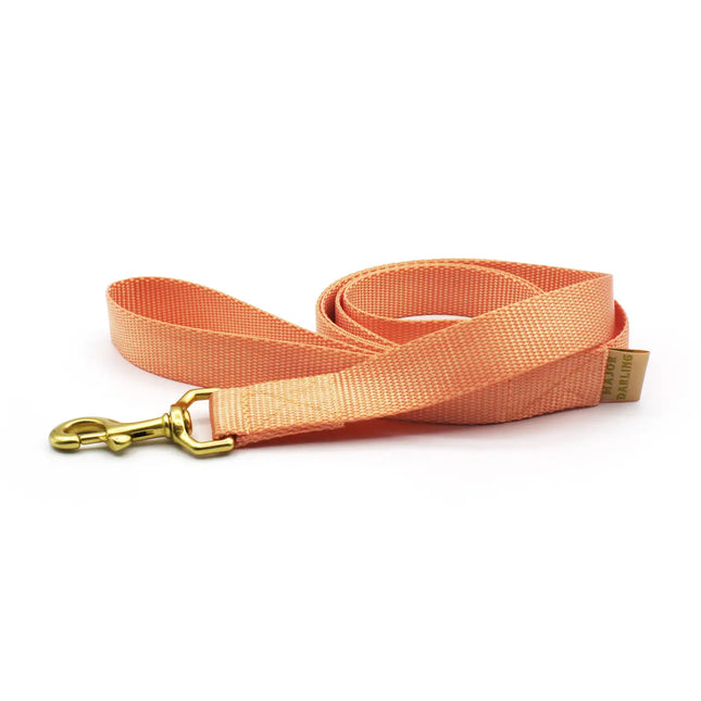 Major Darling Leash  3/4" wide / 5' long - Peach