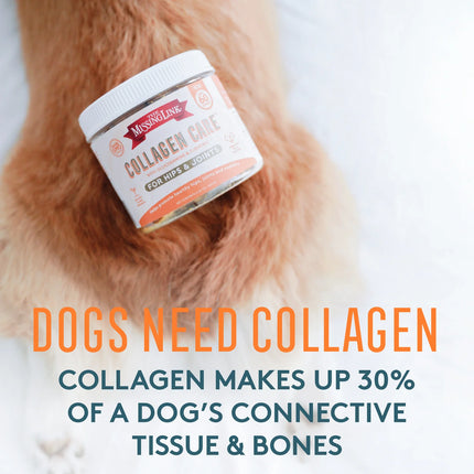 The Missing Link Collagen Care Hip & Joints