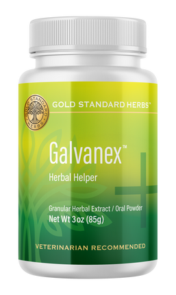 Gold Standard Herbs Galvanex Supplement 85G