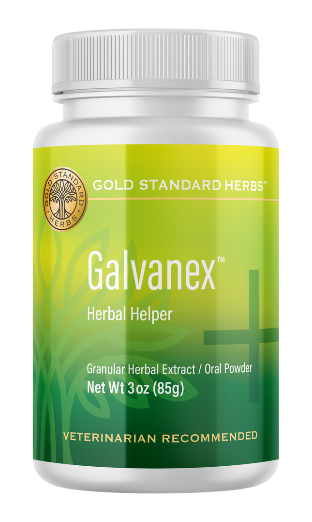 Gold Standard Herbs Galvanex Supplement 85G