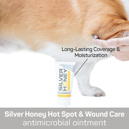 Silver Honey Hot Spot & Wound Care Antimicrobial Ointment 2oz