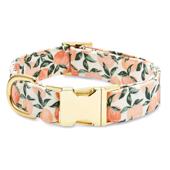 The Foggy Dog - Peaches and Cream Dog Collar