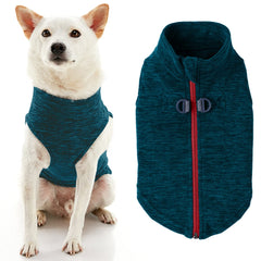 Collection image for: dog clothing