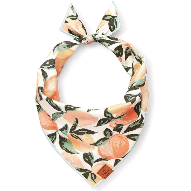 The Foggy Dog - Peaches and Cream Dog Bandana