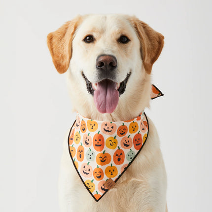 The Foggy Dog - Jack-O-Lanterns Reversible Dog Bandana