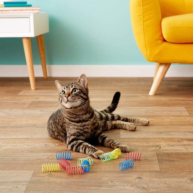 SPOT Colorful Springs (Wide) Cat Toy