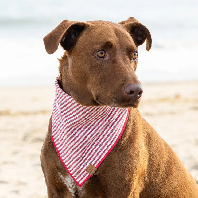 The Foggy Dog - Red Stripe Dog Bandana