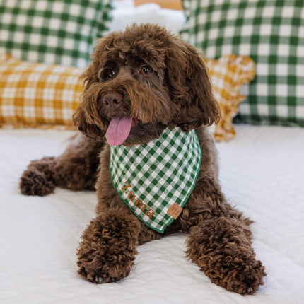 The Foggy Dog - Red Stripe Dog Bandana