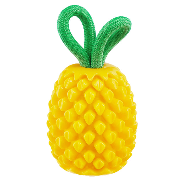Outward Hound Dental Pineapple Dog toy
