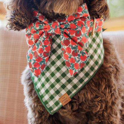 The Foggy Dog - Red Stripe Dog Bandana