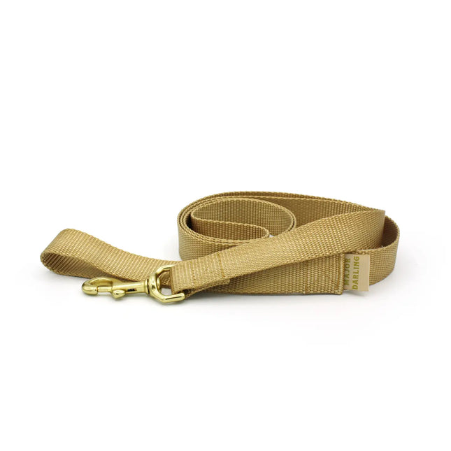 Major Darling Leash  1" wide / 6' long - Gold